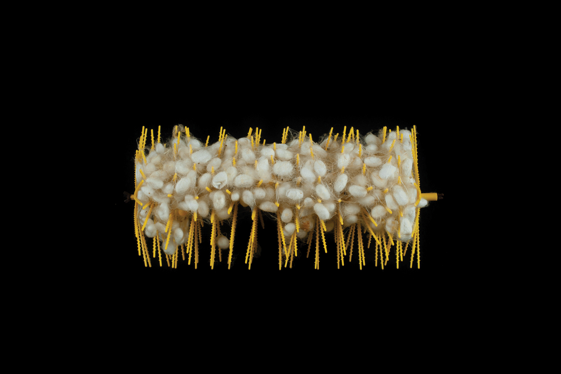UltraSericum_07